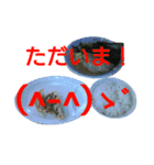 毎日家系ラーメンスタンプ(其の3)（個別スタンプ：13）