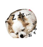 くぅちゃん 〜心の声〜 Vo.1（個別スタンプ：2）