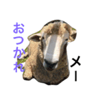 くぅちゃん 〜心の声〜 Vo.1（個別スタンプ：4）
