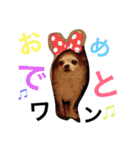 くぅちゃん 〜心の声〜 Vo.1（個別スタンプ：9）