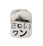 くぅちゃん 〜心の声〜 Vo.1（個別スタンプ：10）