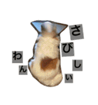 くぅちゃん 〜心の声〜 Vo.1（個別スタンプ：16）