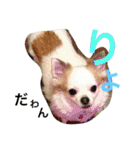 くぅちゃん 〜心の声〜 Vo.1（個別スタンプ：18）