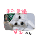 くぅちゃん 〜心の声〜 Vo.1（個別スタンプ：21）