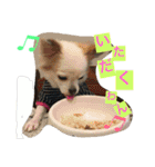 くぅちゃん 〜心の声〜 Vo.1（個別スタンプ：23）