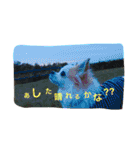 くぅちゃん 〜心の声〜 Vo.1（個別スタンプ：24）