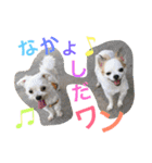 くぅちゃん 〜心の声〜 Vo.1（個別スタンプ：26）