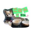 くぅちゃん 〜心の声〜 Vo.1（個別スタンプ：28）