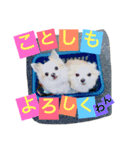 くぅちゃん 〜心の声〜 Vo.1（個別スタンプ：31）