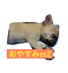 チップ(ちーちゃん)（個別スタンプ：2）