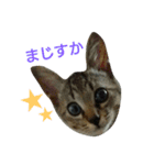 ぼくのなまえはなの（個別スタンプ：4）