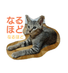ぼくのなまえはなの（個別スタンプ：9）