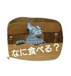 ぼくのなまえはなの（個別スタンプ：10）
