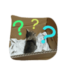 ぼくのなまえはなの（個別スタンプ：12）