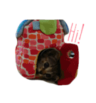 ぼくのなまえはなの（個別スタンプ：22）