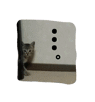 ぼくのなまえはなの（個別スタンプ：28）