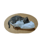 ぼくのなまえはなの（個別スタンプ：30）