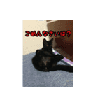 家のこまとここあ（個別スタンプ：18）