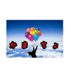家のこまとここあ（個別スタンプ：21）