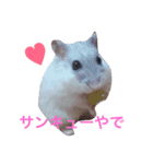 こぶ＊にぼstamp（個別スタンプ：2）