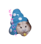 こぶ＊にぼstamp（個別スタンプ：6）