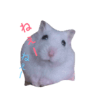 こぶ＊にぼstamp（個別スタンプ：10）