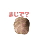 肉スタ（個別スタンプ：2）