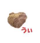 肉スタ（個別スタンプ：3）