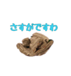 肉スタ（個別スタンプ：8）