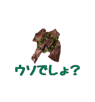 肉スタ（個別スタンプ：16）