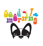 French Bulldog FRENCHIE Jr. Ver.2（個別スタンプ：1）