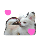 犬のモコちゃん（個別スタンプ：21）