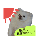 犬のモコちゃん（個別スタンプ：32）