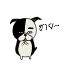 Gueyjeng Buta（個別スタンプ：1）