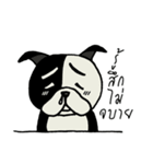 Gueyjeng Buta（個別スタンプ：3）