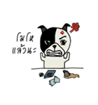 Gueyjeng Buta（個別スタンプ：7）