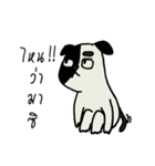 Gueyjeng Buta（個別スタンプ：9）