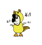 Gueyjeng Buta（個別スタンプ：15）