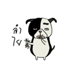 Gueyjeng Buta（個別スタンプ：17）