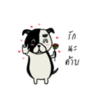 Gueyjeng Buta（個別スタンプ：20）