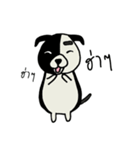 Gueyjeng Buta（個別スタンプ：21）