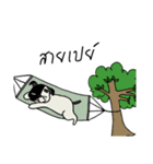 Gueyjeng Buta（個別スタンプ：34）