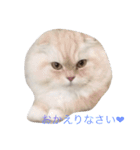 ルナスタンプ（個別スタンプ：7）