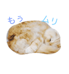 ルナスタンプ（個別スタンプ：15）