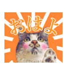 猫のみぃさん（個別スタンプ：1）