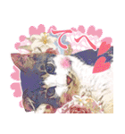 猫のみぃさん（個別スタンプ：9）