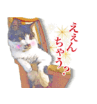 猫のみぃさん（個別スタンプ：14）