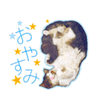 猫のみぃさん（個別スタンプ：22）