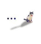 猫のみぃさん（個別スタンプ：23）