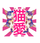 猫のみぃさん（個別スタンプ：24）